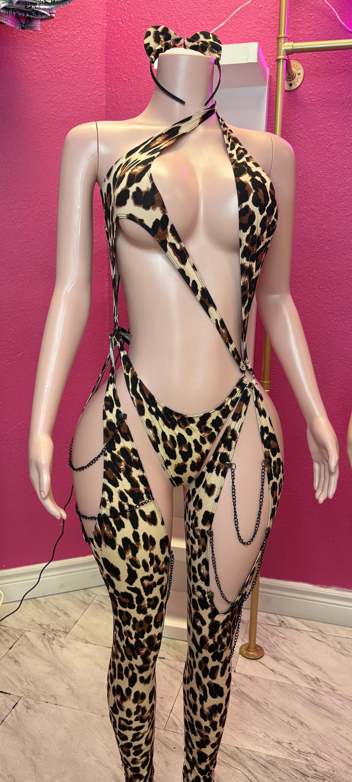 WILD CAT
