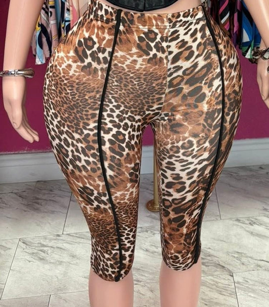 BLITZ BOTTOMS