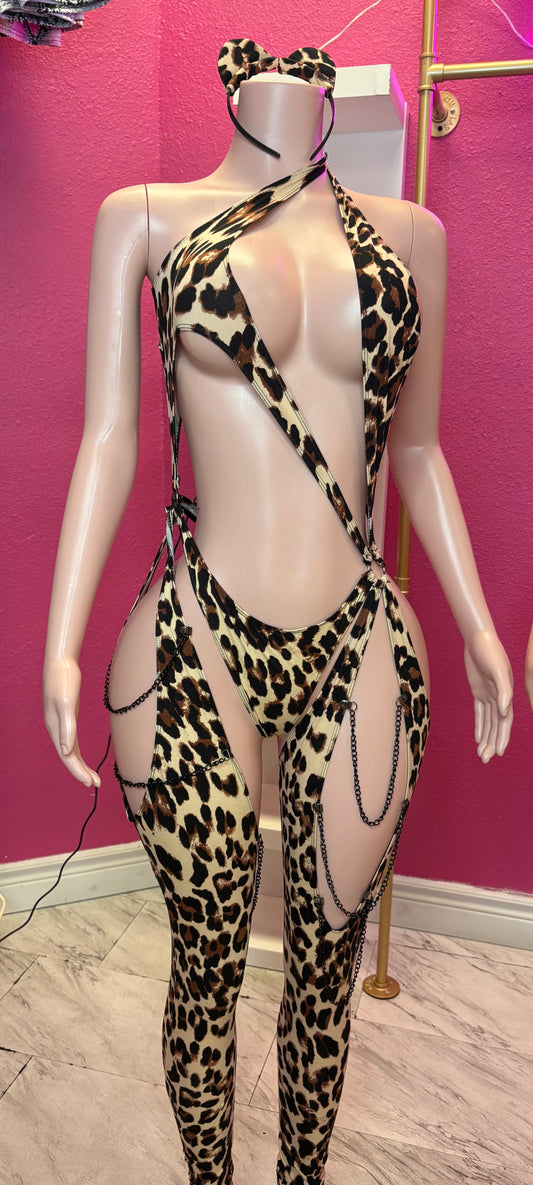WILD CAT